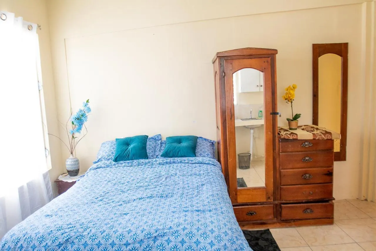 Self-Contained Studio Close To Uwi - Utech - Embassy Apartamento Hope Pastures